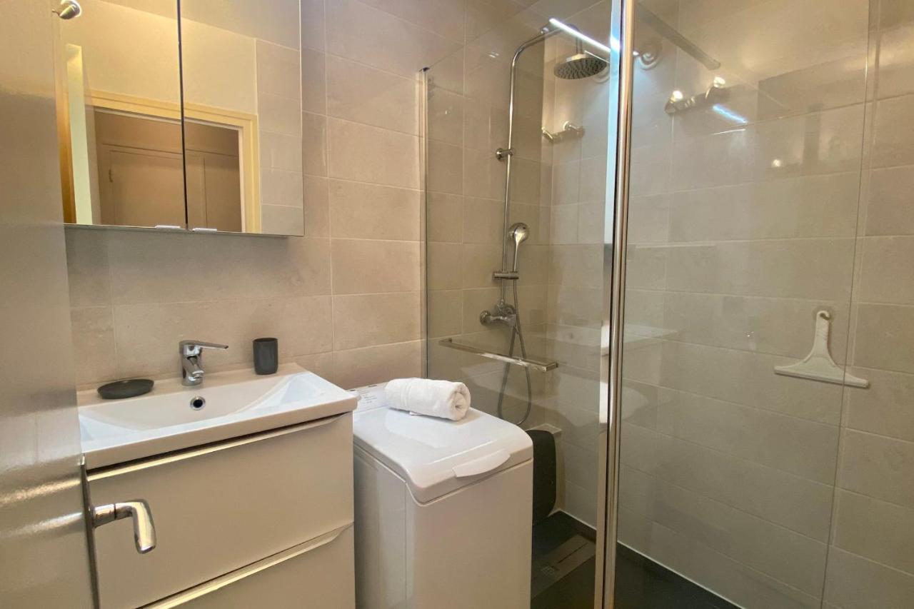 Apartment Les Merisiers - Studio Cosy A Le Vieux - Wifi & Parking