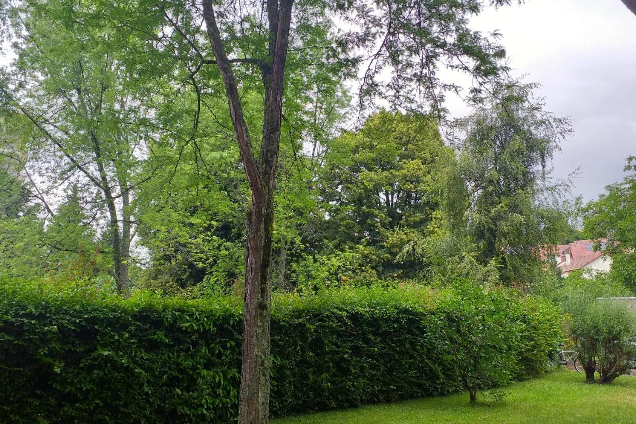 Les Merisiers - Studio Cosy A Le Vieux - Wifi & Parking Apartment Annecy