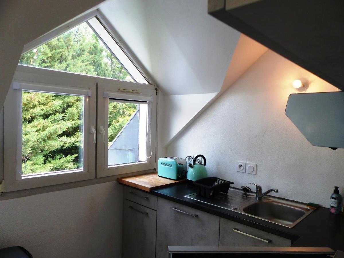 Apartment Magnifique T1 Bis Triangle D Or - Parking - Wifi Annecy