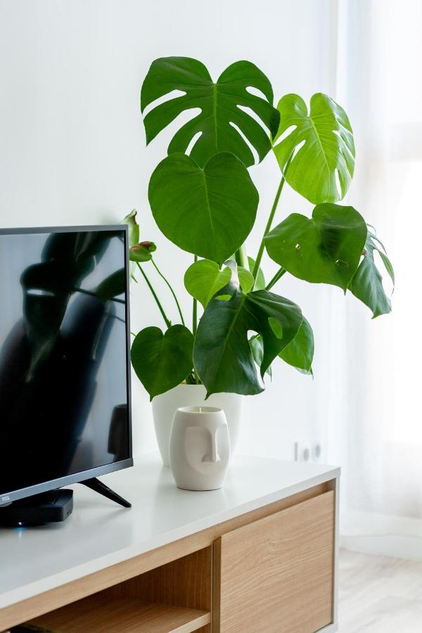 Appartement Mountain *