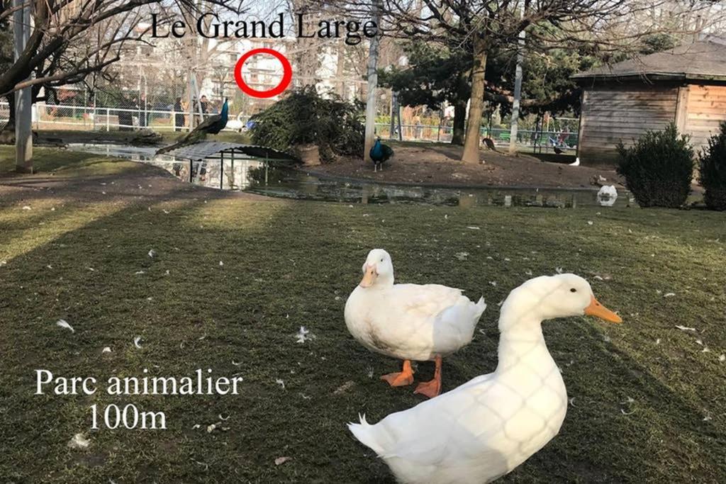 3* Balcon Vue Commerces Et A 100m Apartment Annecy