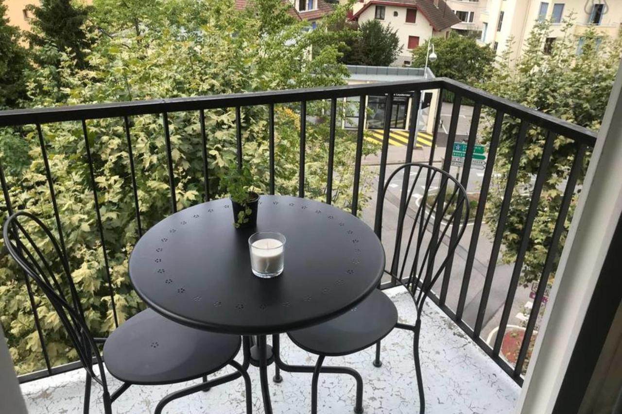 Le Genevois - 2 Bedrooms Annecy
