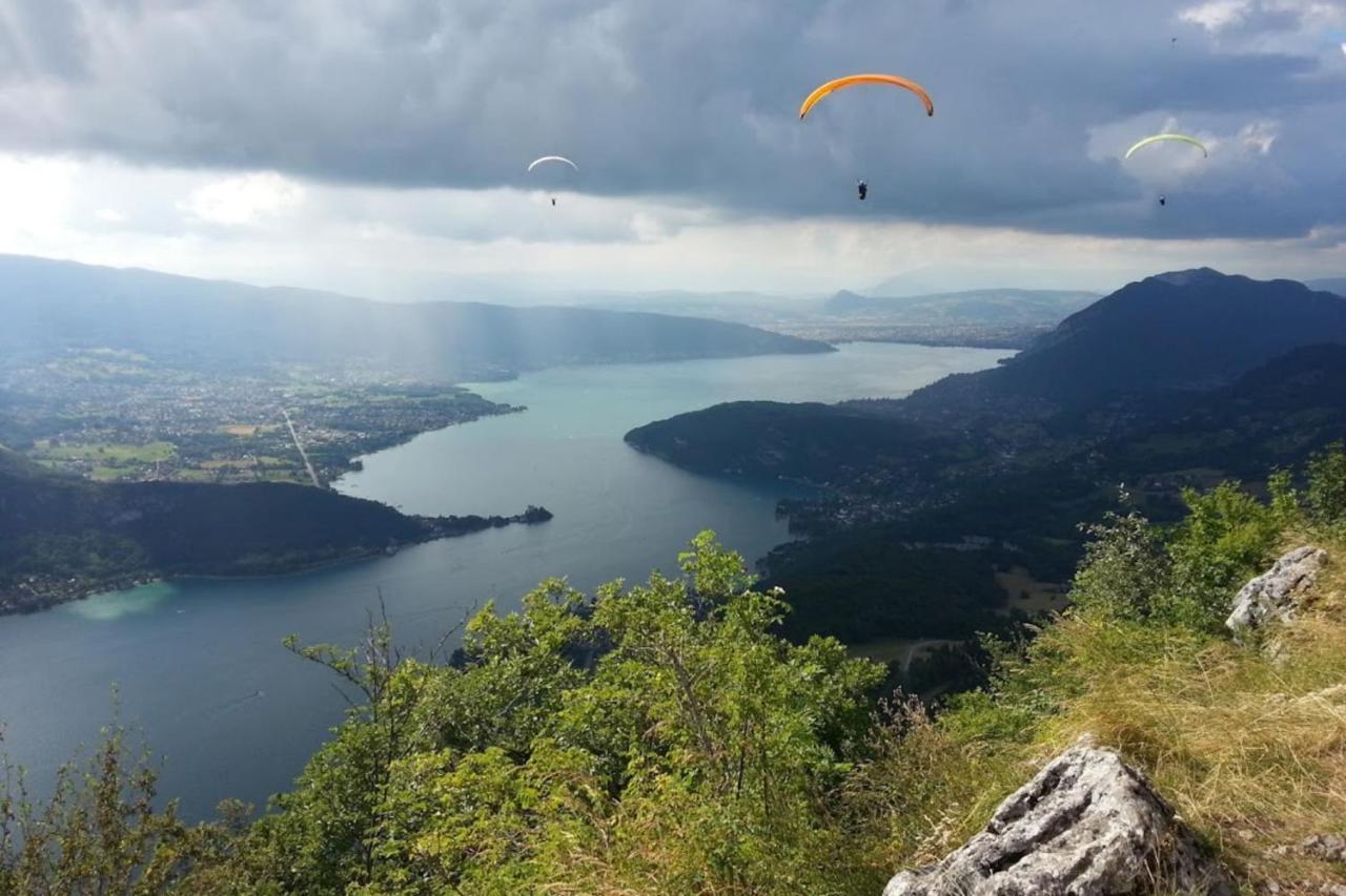 La Roseraie - 100m From * Annecy