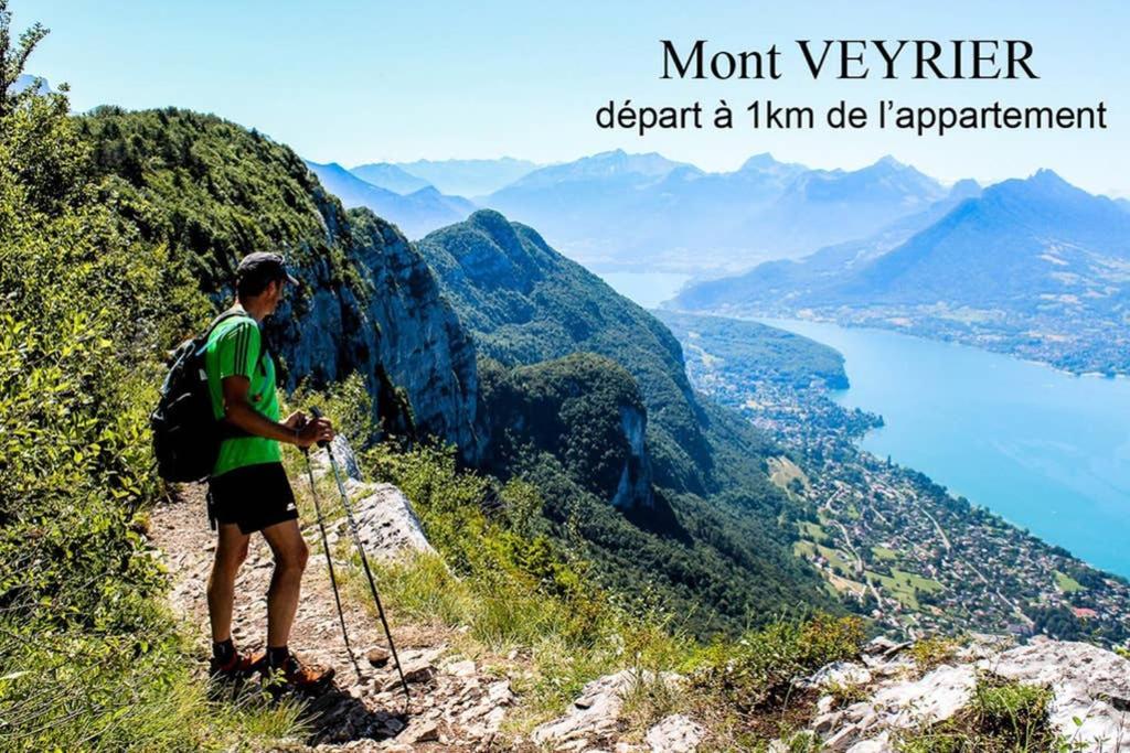 Apartment 3* Balcon Vue Commerces Et A 100m Annecy