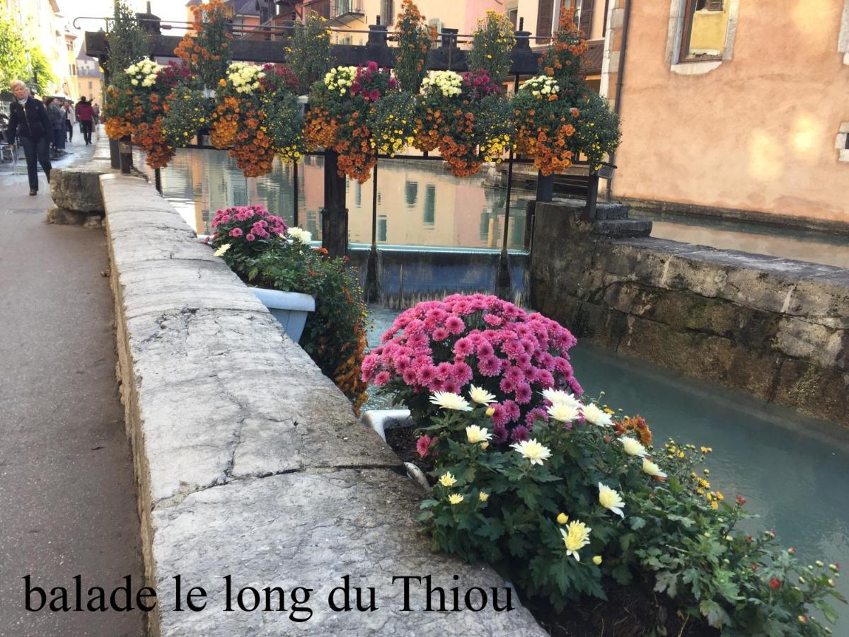 Apartment 3* Balcon Vue Commerces Et A 100m Annecy