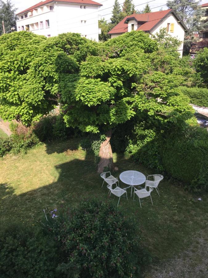Le Catalpa - Centre Ville, Jardin & Parking! Apartment