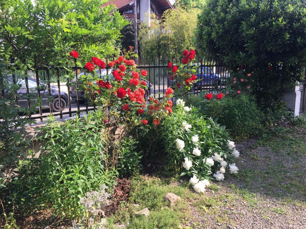 Le Catalpa - Centre Ville, Jardin & Parking! Apartment *