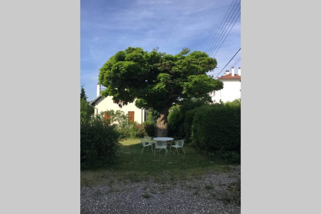 Apartment Le Coteau - Centre Ville, Jardin & Parking!