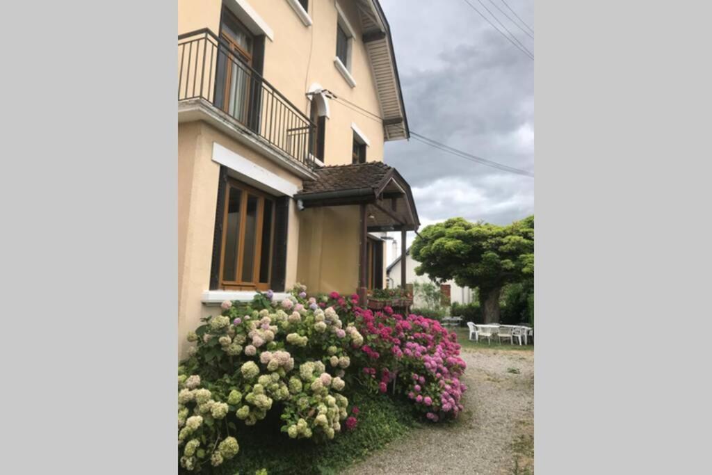 Apartment Le Coteau - Centre Ville, Jardin & Parking!