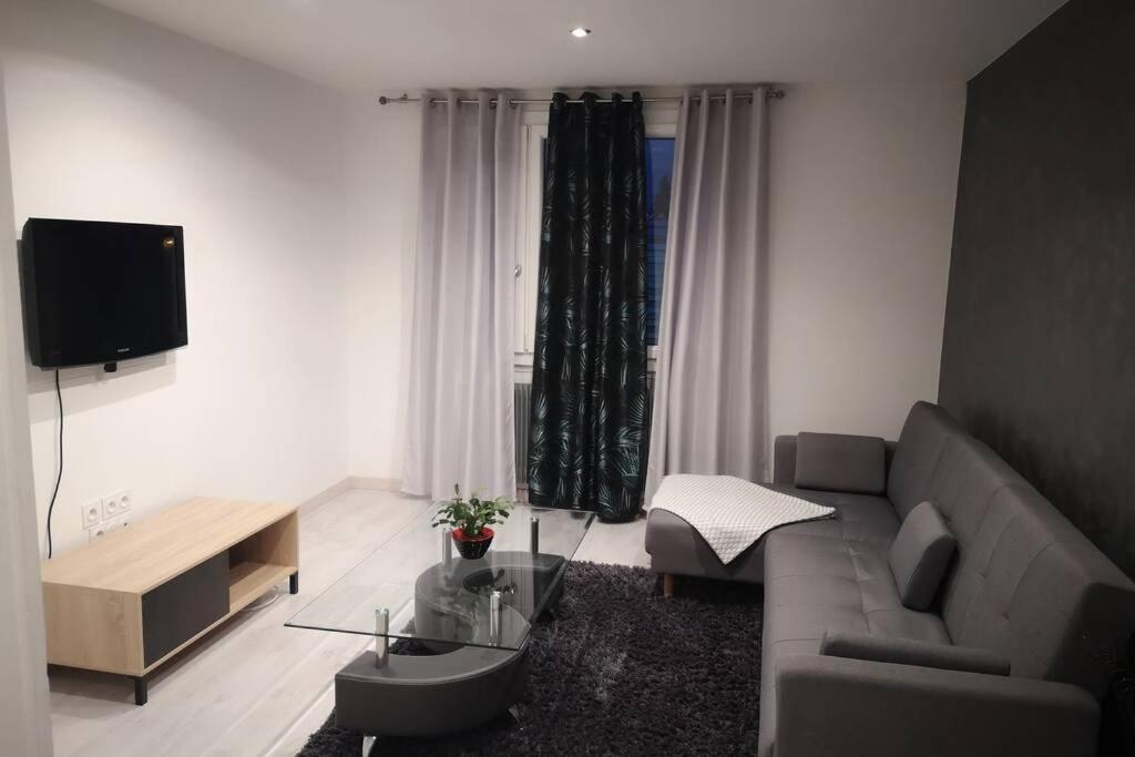 Le 56 Apartment Annecy