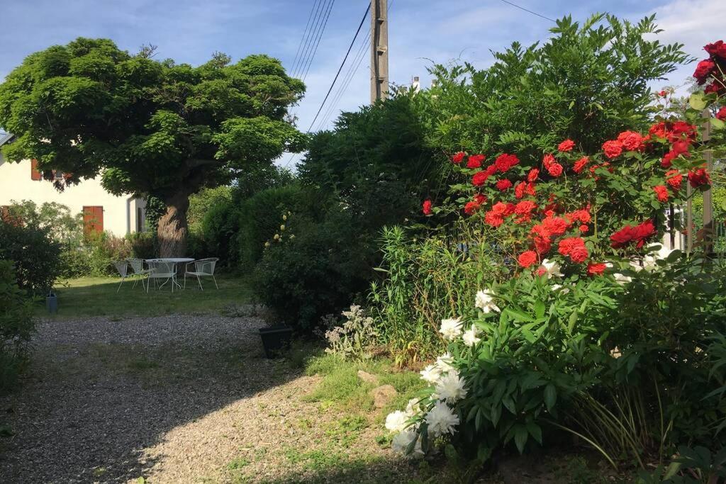 Apartment Le Coteau - Centre Ville, Jardin & Parking! *