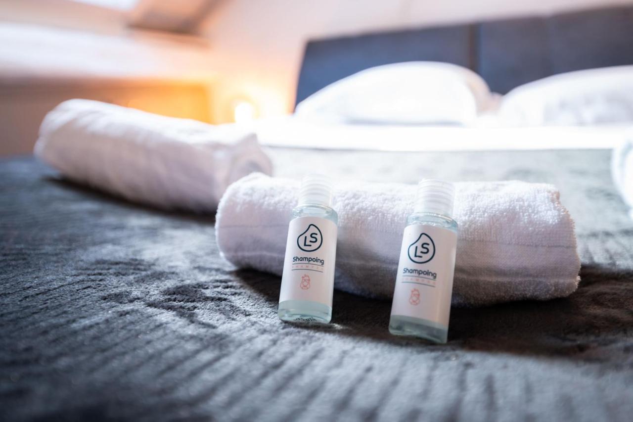 The Attic - Ideally Located In The Old Town Annecy