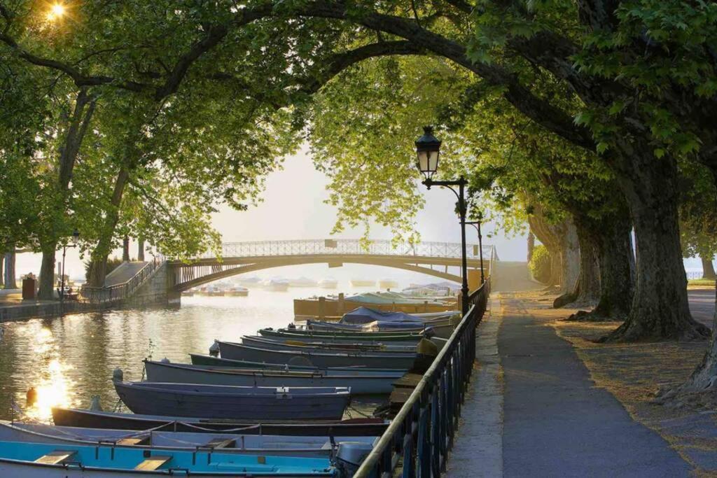 Le Continental Beau T2 Plein Centre + Parking Appartement *