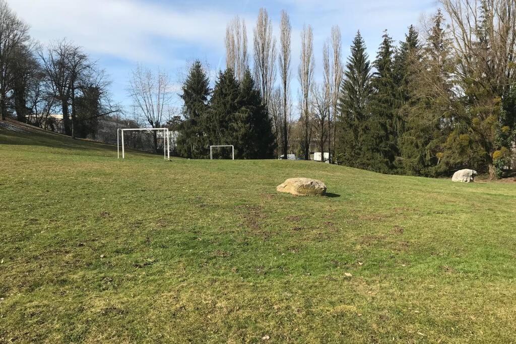 Apartment Le Bois - Calme, Verdure, Terrains De Tennis Annecy
