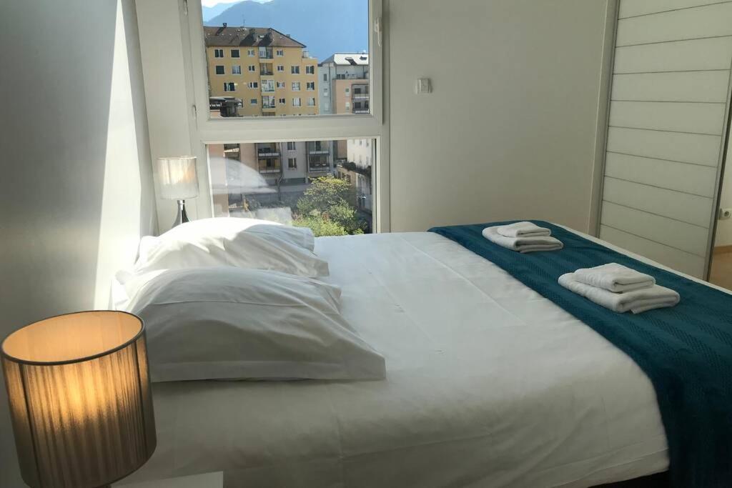 Le Cezanne - Centre Ville, Balcon, Garage Annecy