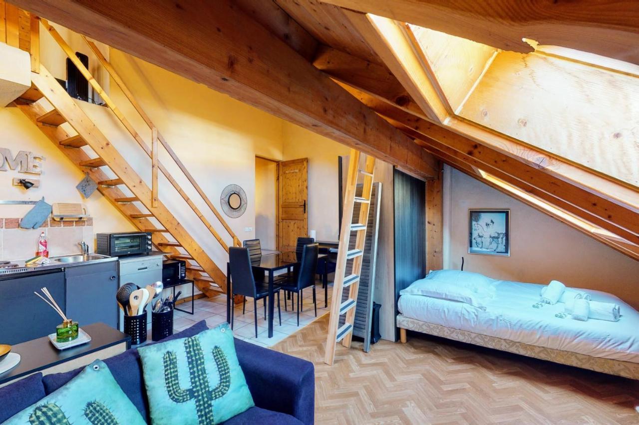 Duplex Cactus 4 People In The Centre Of 100 Meters From The Annecy
