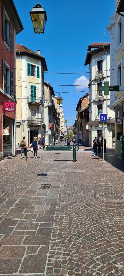 Apartment Bluemoon-appartement En Plein Centre De D'annecy Annecy