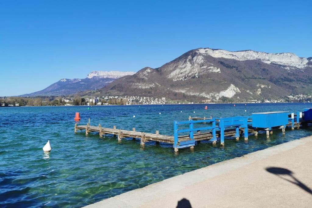 Annecy; A 2 Pas Du Centre; Raclette; Joli Balcon; Cosy Annecy