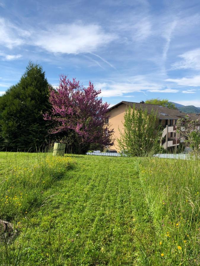 Appartement Le Clos Du Lac Studio Terrasse Jardin Et Cave Vélos Fermée Rdc Annecy