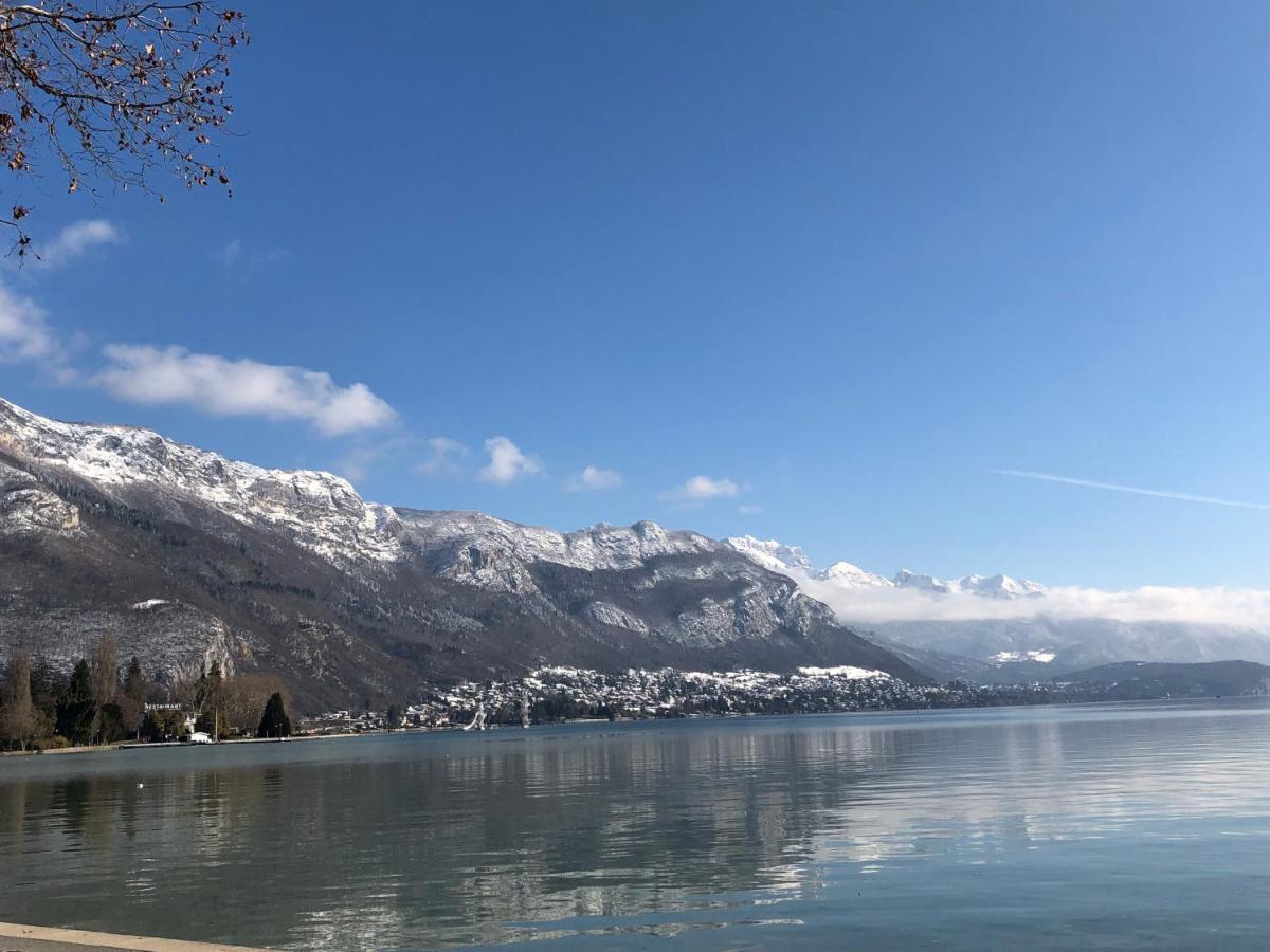 Le Clos Du Lac Studio Terrasse Jardin Et Cave Vélos Fermée Rdc *