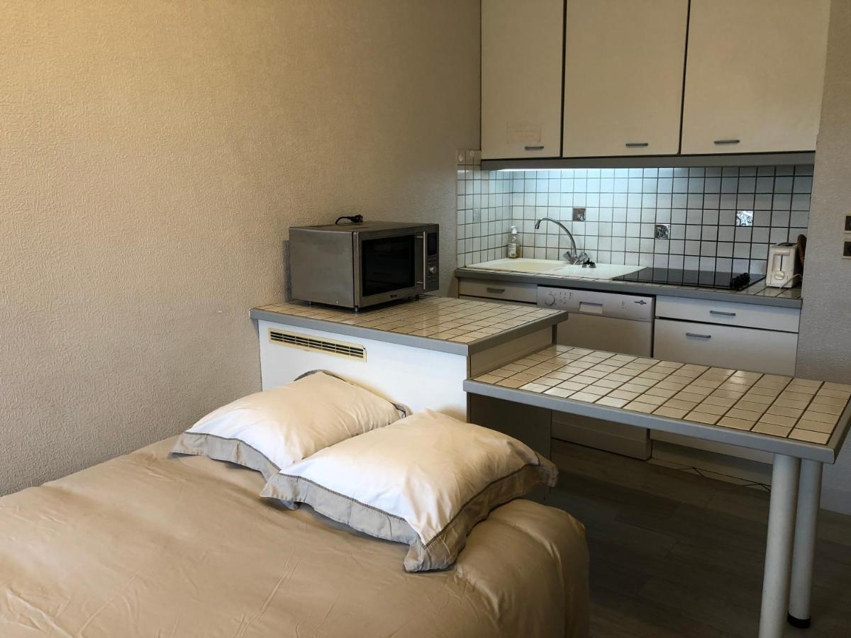 Le Clos Du Lac Studio Terrasse Jardin Et Cave Velos Fermee Rdc * Annecy