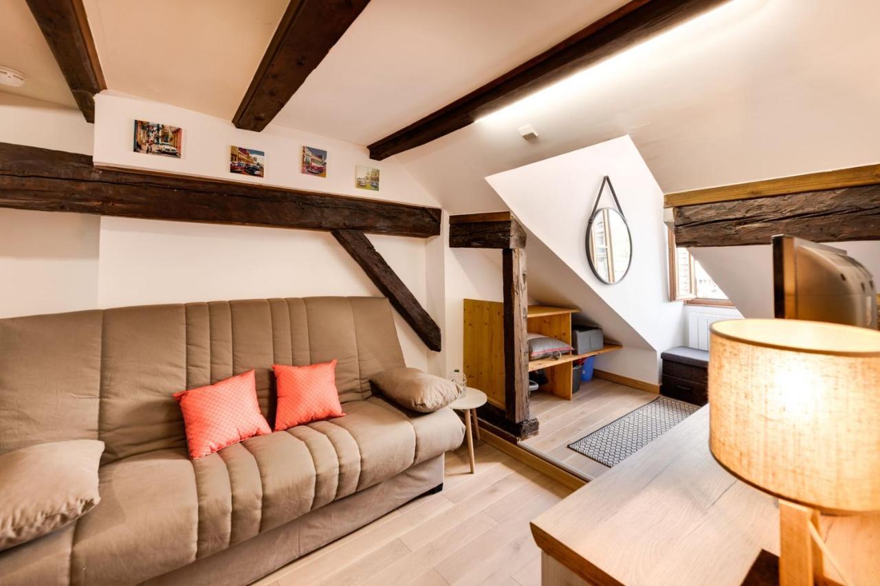 Le Cocooning - Small Of 20 Square Meter In The Heart Of * Annecy