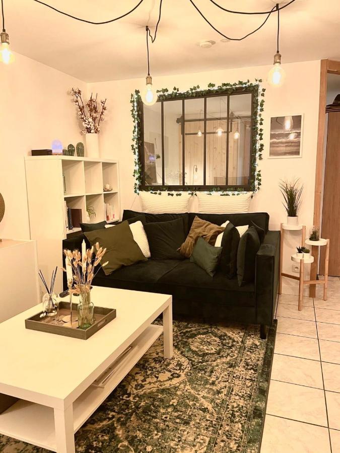 Petit Cocon Au Coeur D'annecy Apartment Annecy