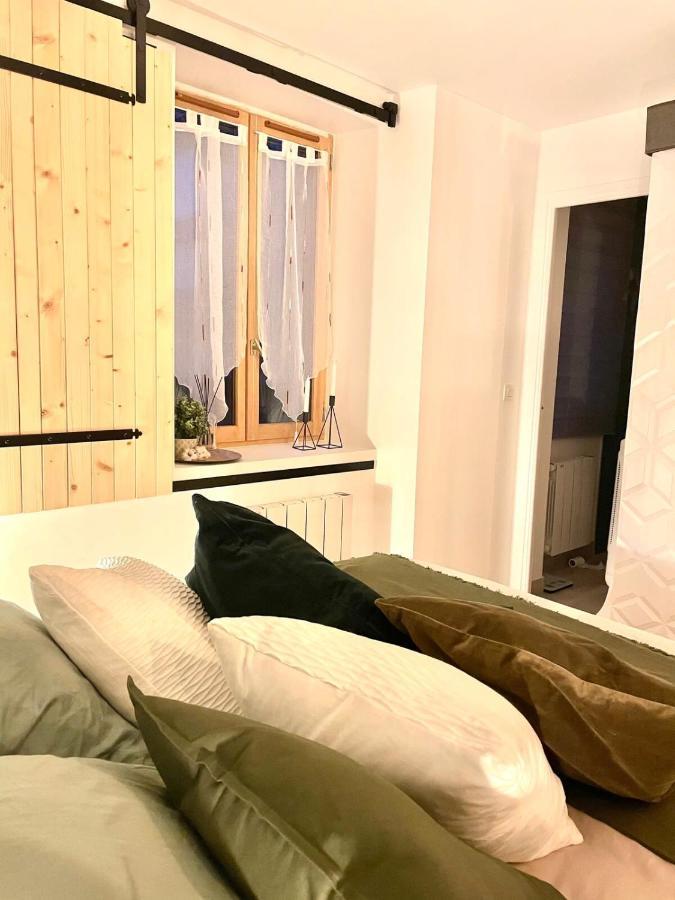 Petit Cocon Au Coeur D'annecy Apartment *