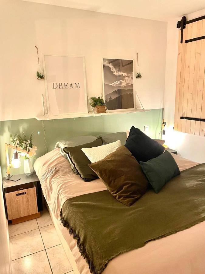 Apartment Petit Cocon Au Coeur D'annecy