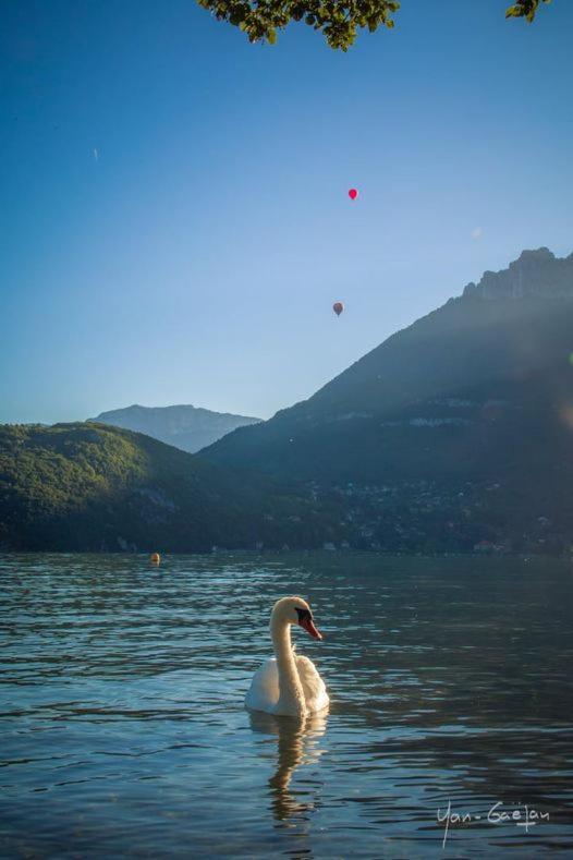 Lpa Apartment Annecy
