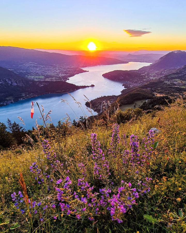 Apartment Lpa Annecy