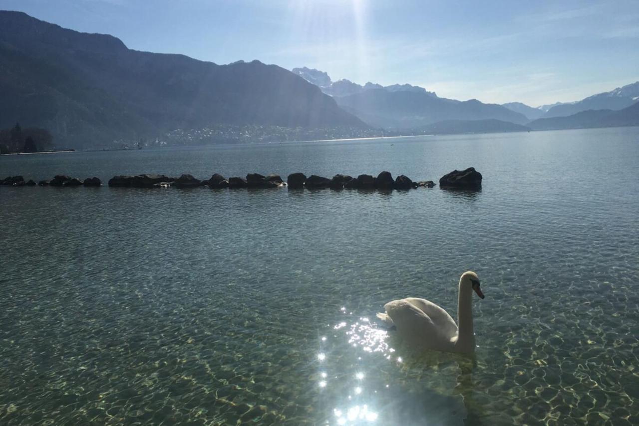 Charmant Studio Au Coeur D'annecy Annecy