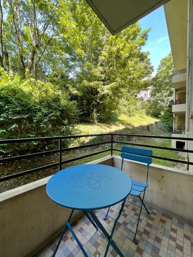 Apartment Nice Businessflat, Center, Free Parking, Business Or Holidays Annecy