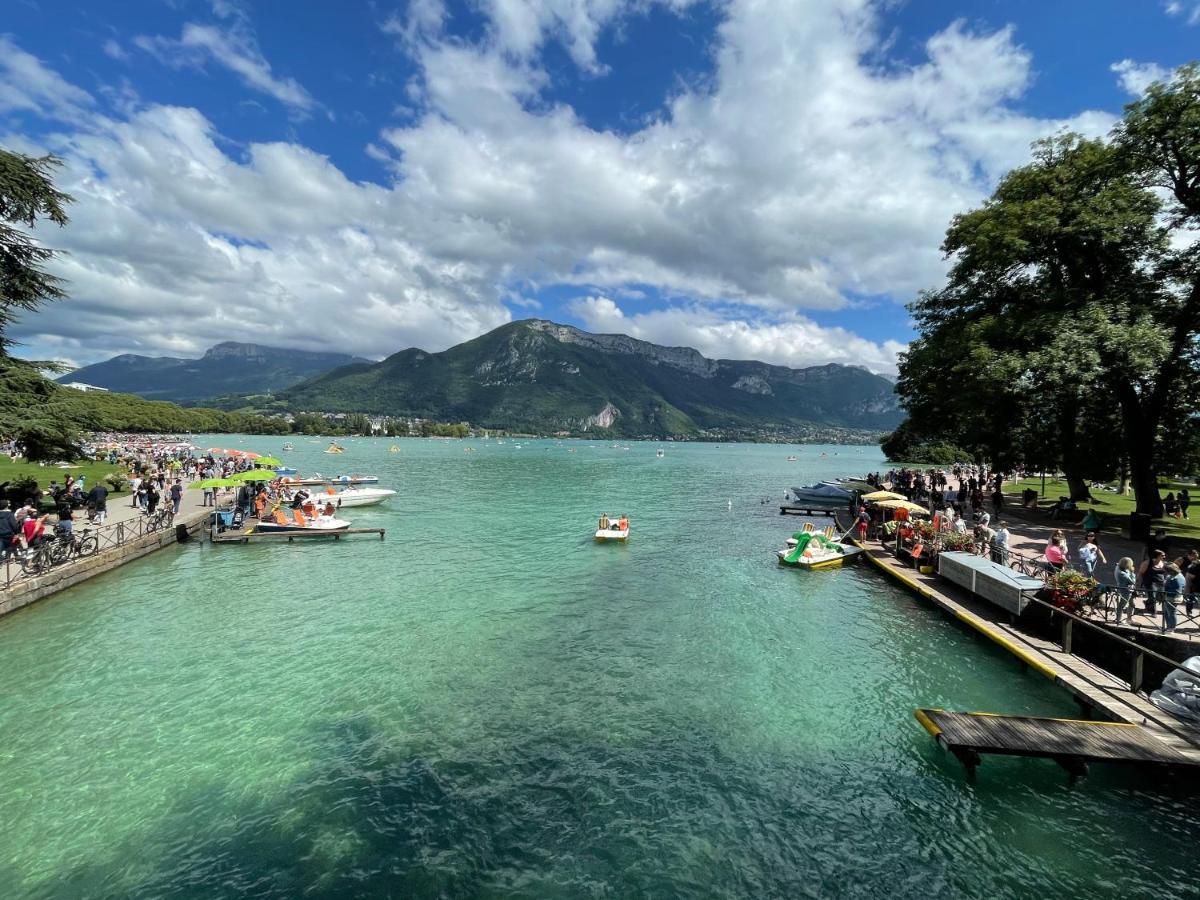 Nice Businessflat, Center, Free Parking, Business Or Holidays Annecy