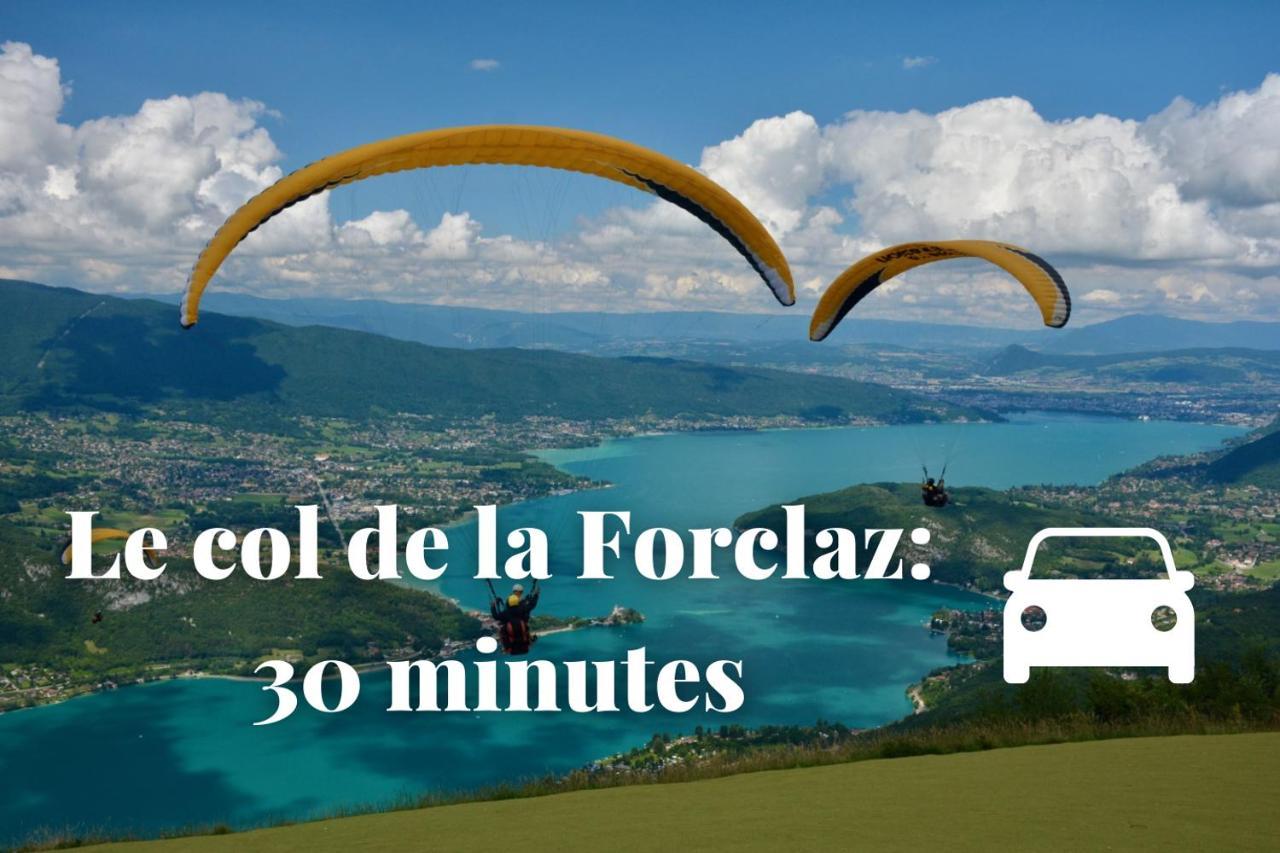 Le Duplex - Hyper Centre - Gare - Wifi - Netflix - + Apartamento Annecy