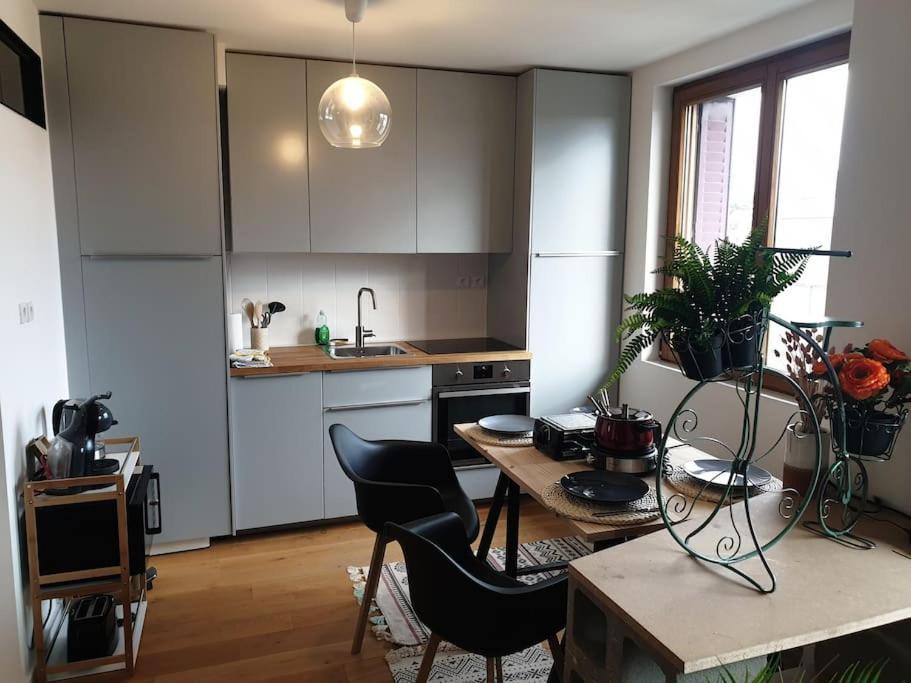 The Duplex Tgv; Vielle Apartment Annecy