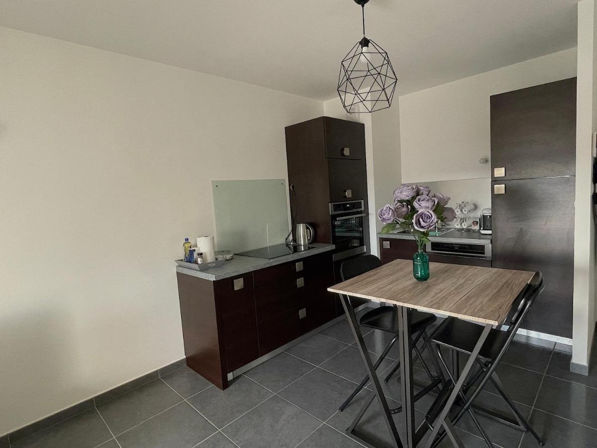 Le Nid Douillet D'annecy Apartment