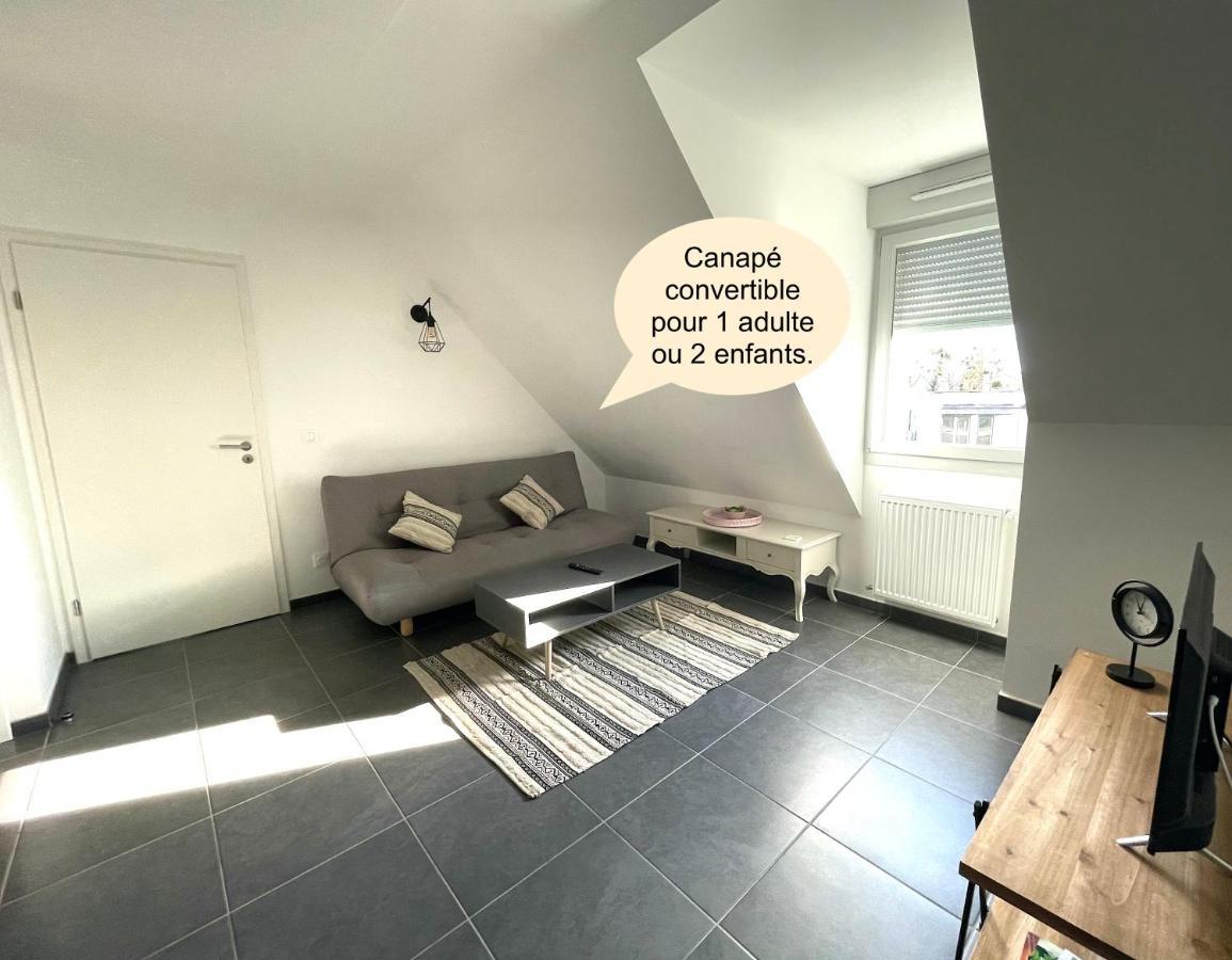 Le Nid Douillet D'annecy Apartment *
