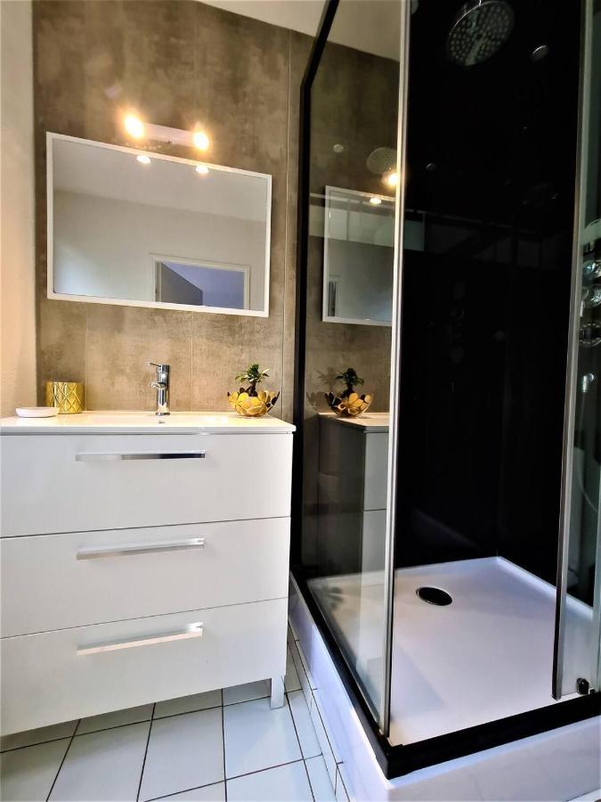 Joli T2 Lumineux Et Cosy Au Centre D'annecy Appartement *