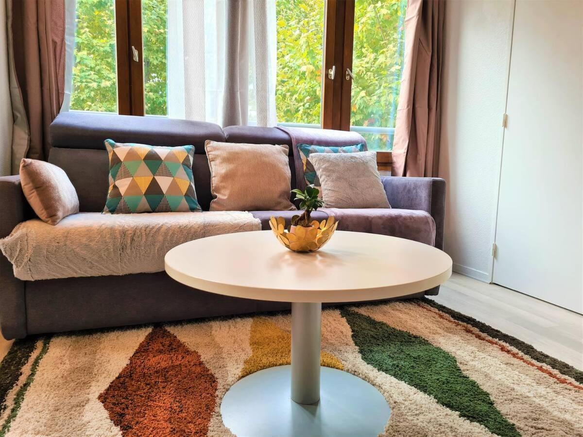 Joli T2 Lumineux Et Cosy Au Centre D'annecy *