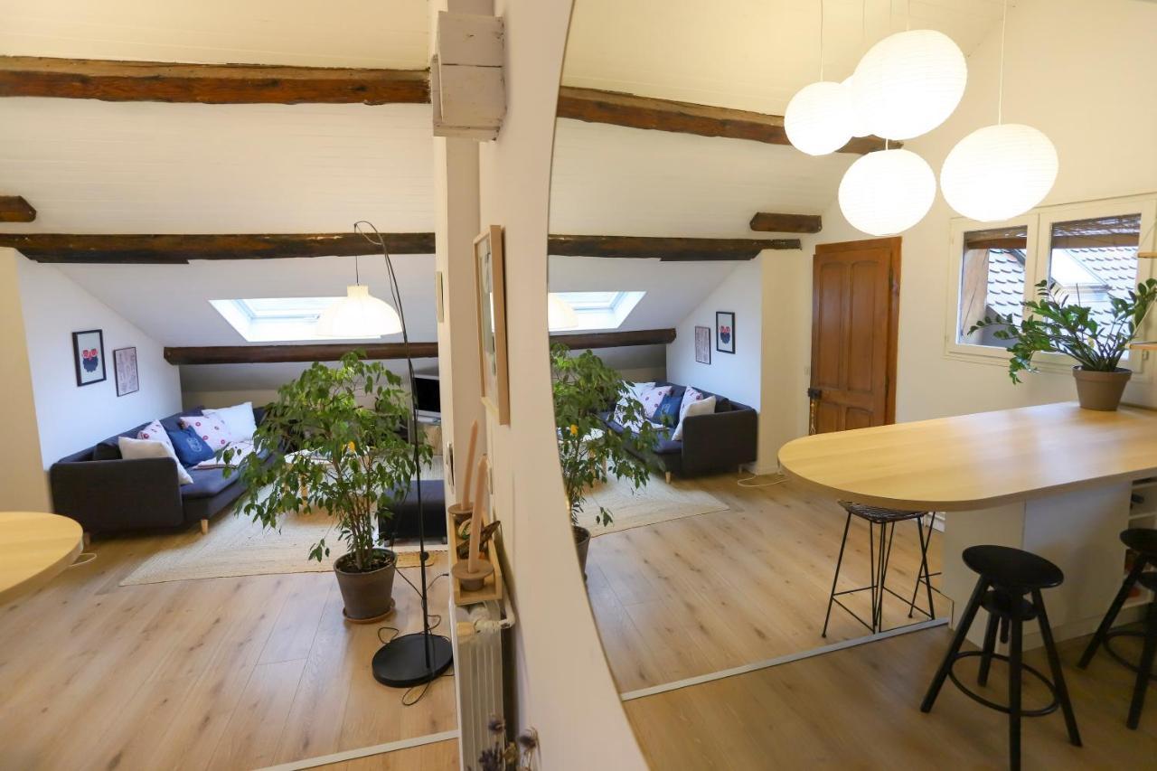 Apartment Petit-coeur Charmant En Centre Ville Annecy
