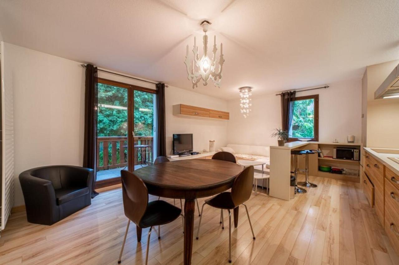 Promenade Furnished Flat * Annecy