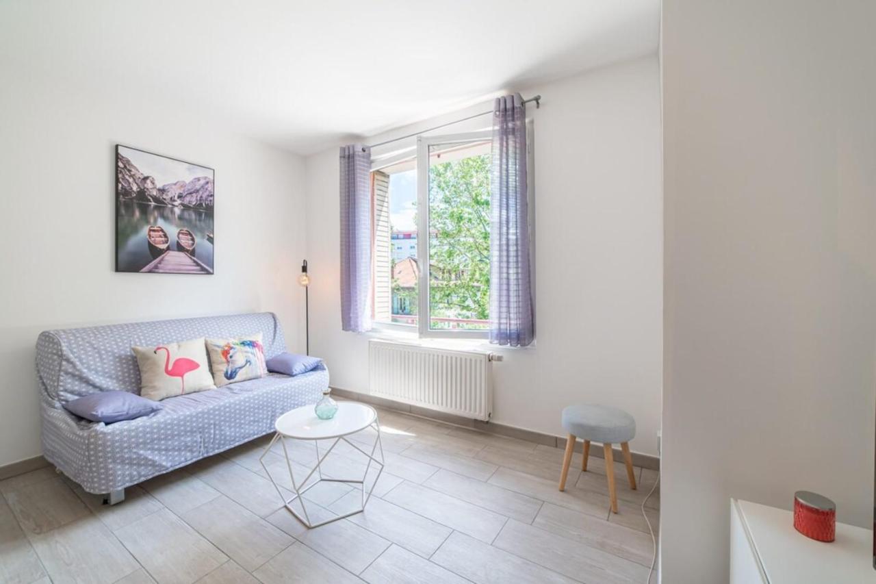 With Balcony In The City Center Apartment Annecy