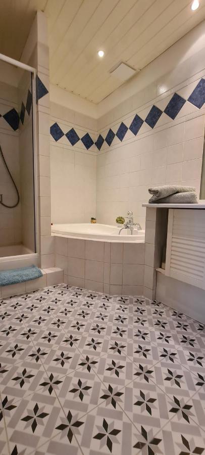 Apartment Bluemoon-appartement En Plein Centre De D'annecy *
