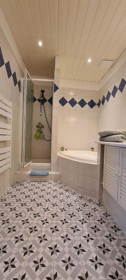 Bluemoon-appartement En Plein Centre De D'annecy *