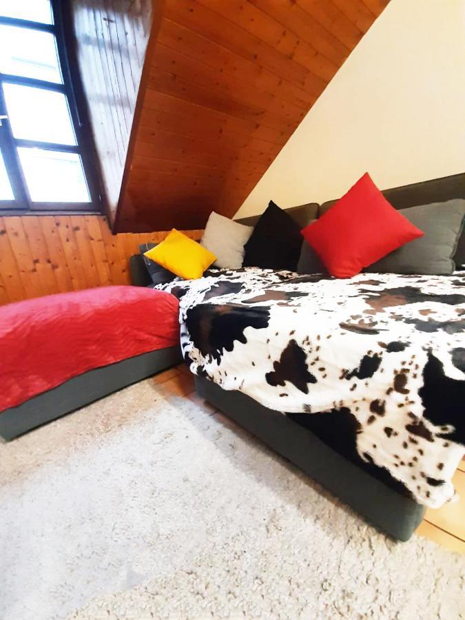 Séjour chez l'habitant Jolie -appart Partagé- Centre - 5 Min Gare&lac - Gratuit- Wifi, Petit Dej, Serviettes, Velos