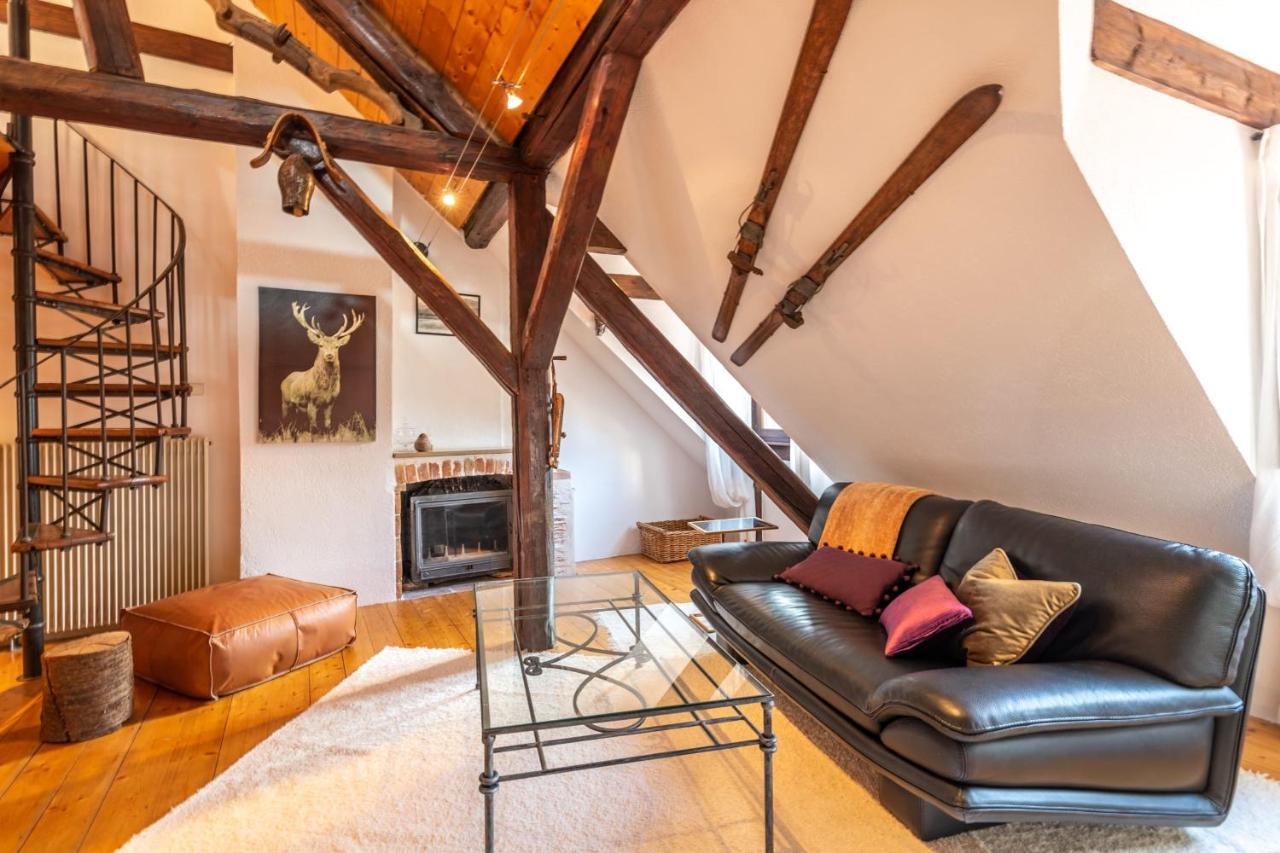 Douce Folie Annecienne Furnished Flat Apartment