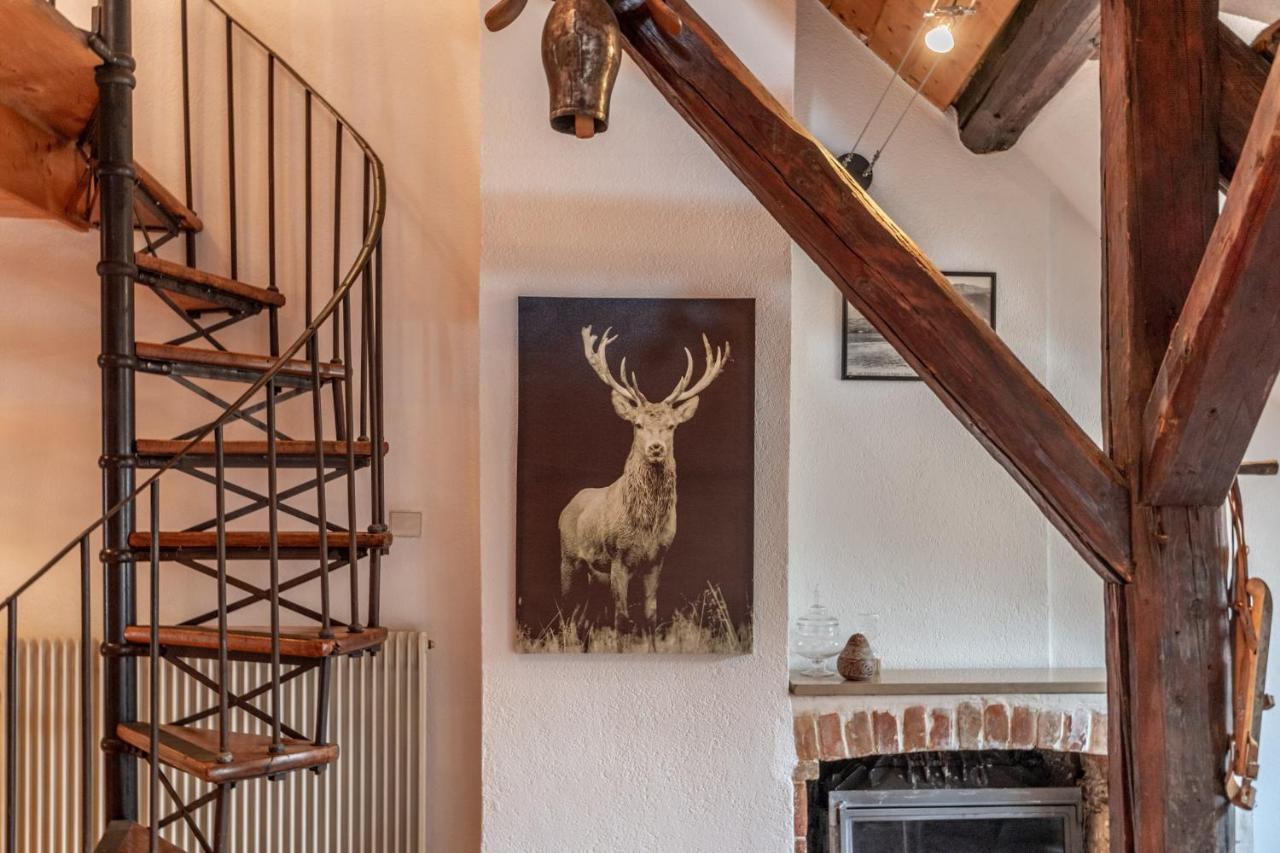 Apartment Douce Folie Annecienne Furnished Flat