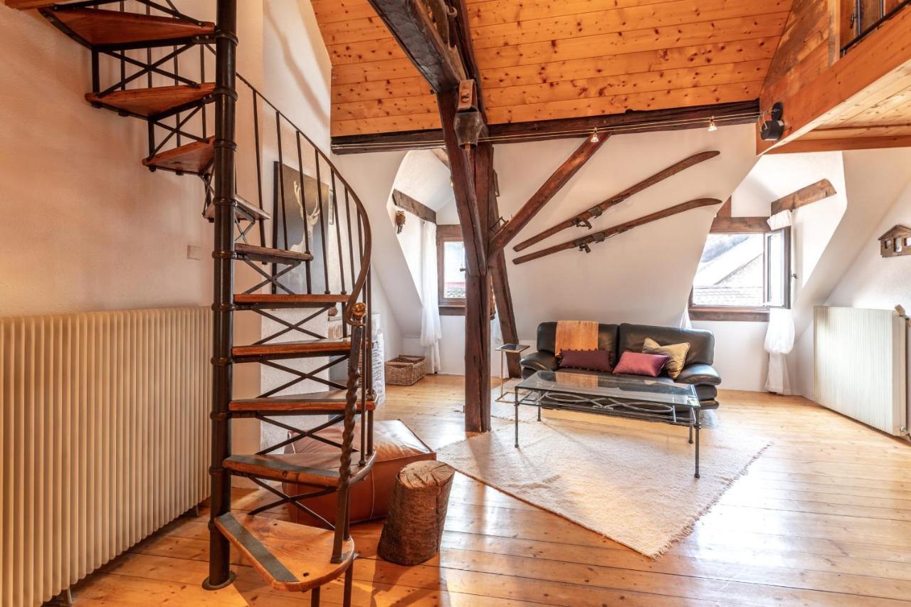 Apartment Douce Folie Annecienne Furnished Flat Annecy
