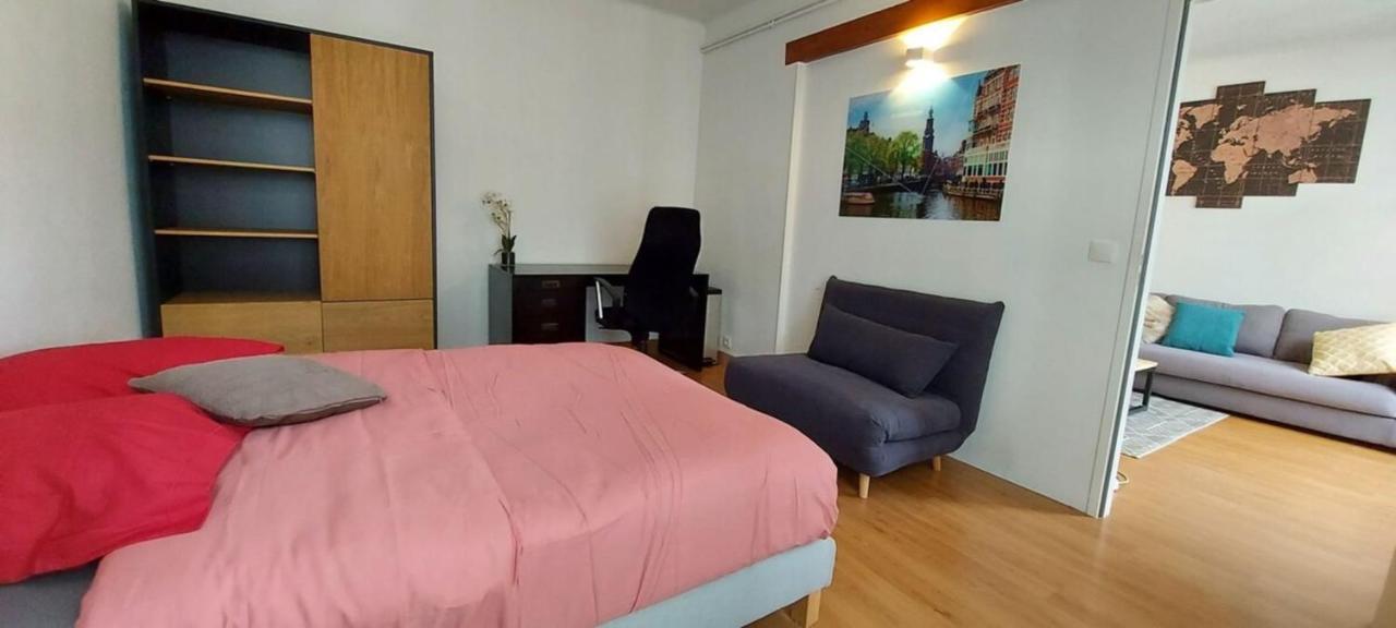 La Paix Avec 2 En Plein Coeur D'annecy Apartment